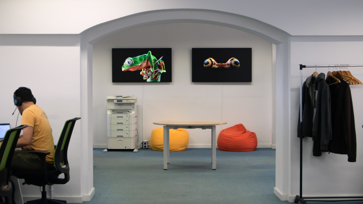 Windowsight Art Gallery Content for Digital Signage (Image: Windowsight)