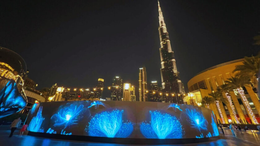 Blue Rhine Digital Signage in the Middle East (Image: BRI)