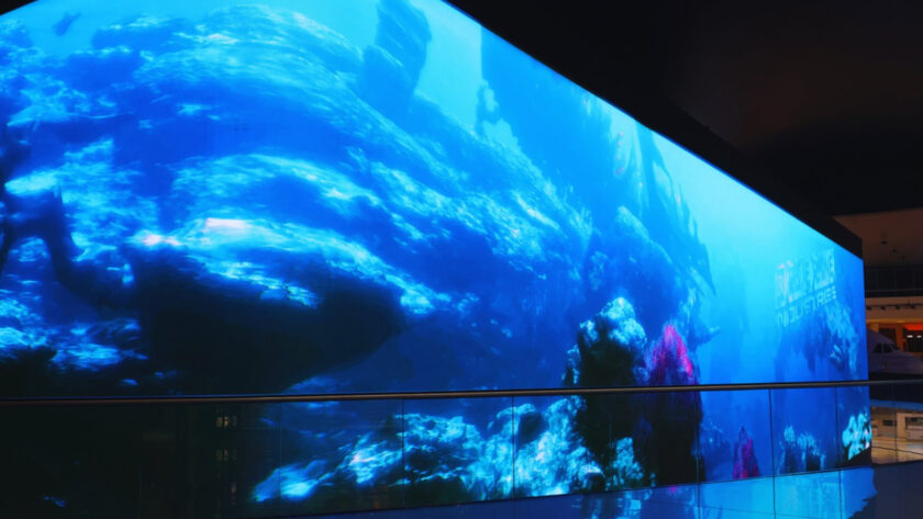 Blue Rhine Digital Signage in the Middle East (Image: BRI)