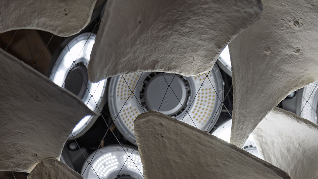 Deggendorf Institute of Technology (Image: Jacopo La Forgia)