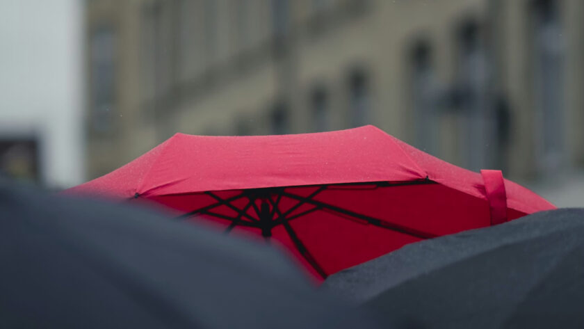 Protection becomes expensive for Gulf businesses (Image: Craig Whitehead / Unsplash)