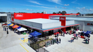 In the Shadow of the Giants