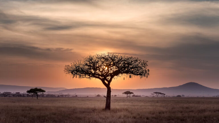 Digital Signage in Africa (Image: Unsplash)