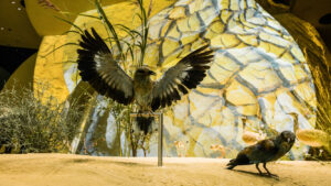 New Projection Technology for Qatar’s National Museum
