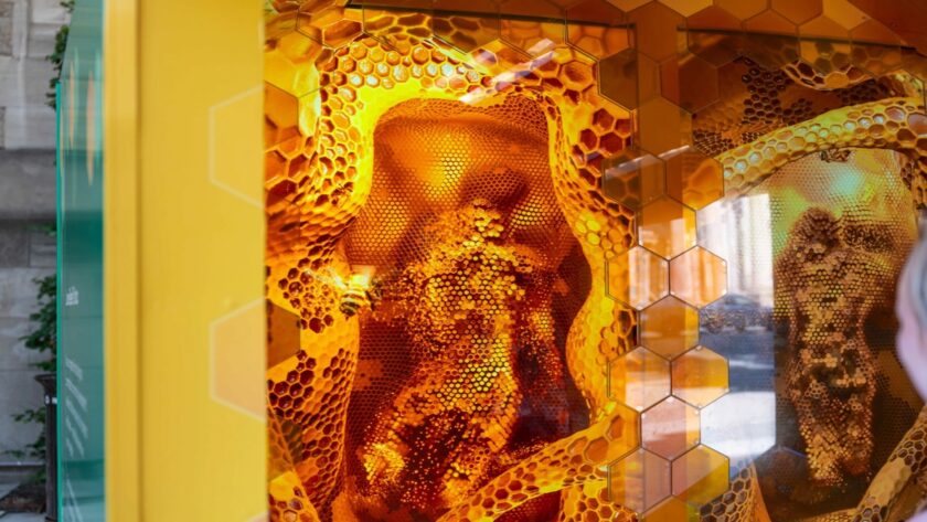 Gentilhomme Realizes Interactive Beehive Experience