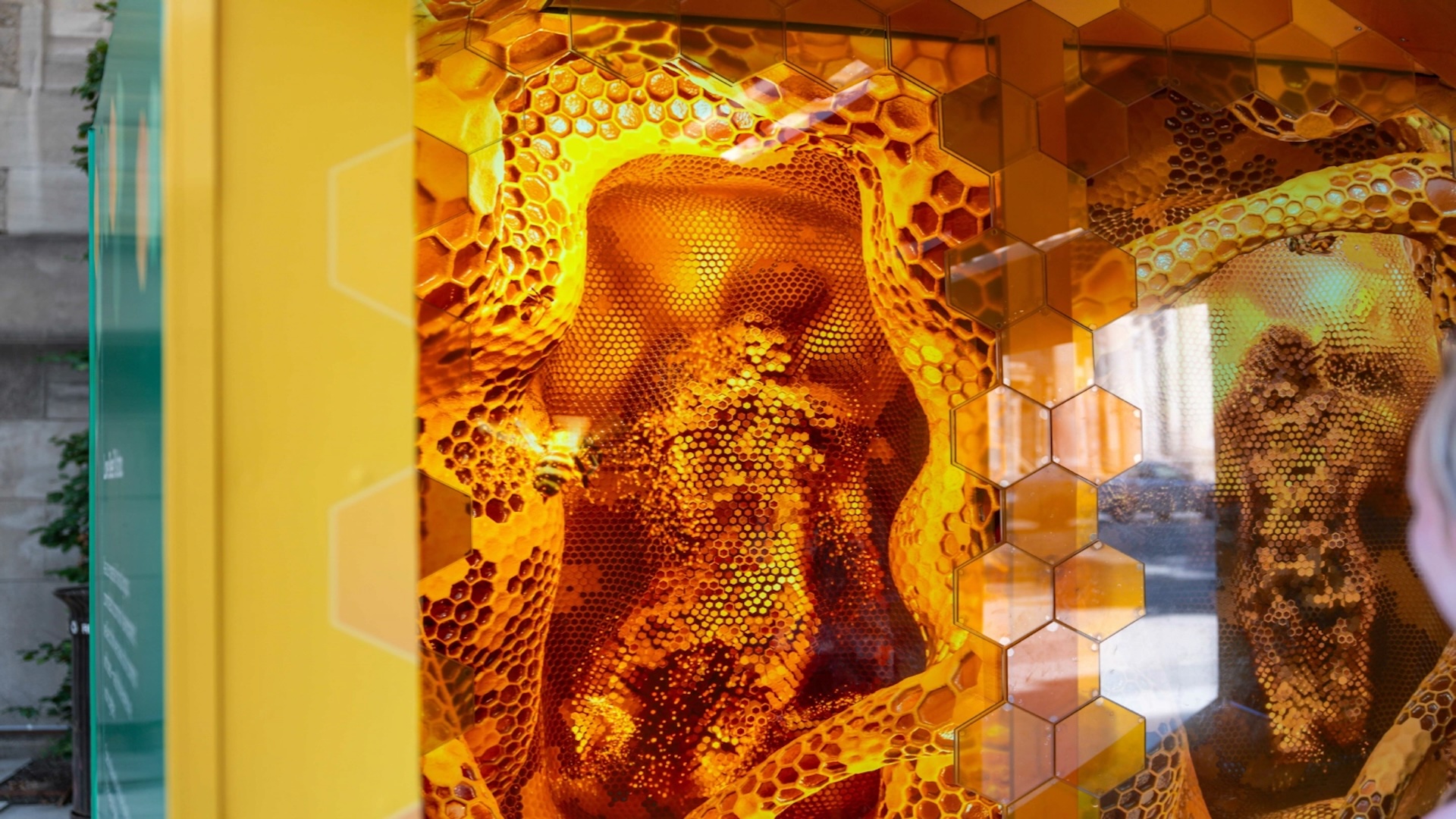 Royal Ontario Museum: Gentilhomme Realizes Interactive Beehive Experience - The interactive, multimedia installation was conceived and built by Montreal-based studio. Gentilhomme. (Image: Gentilhomme) The interactive, multimedia installation was conceived and built by Montreal-based studio. Gentilhomme. (Image: Gentilhomme)