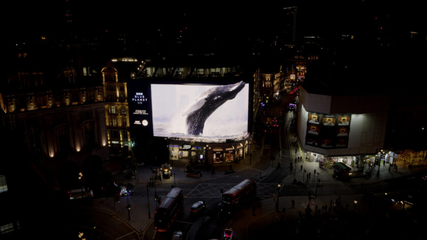 BBC Studios turned London's Piccadilly Lights into an ocean showcase for the premiere of the new Blue Planet III season. (Image: BBC Studios)