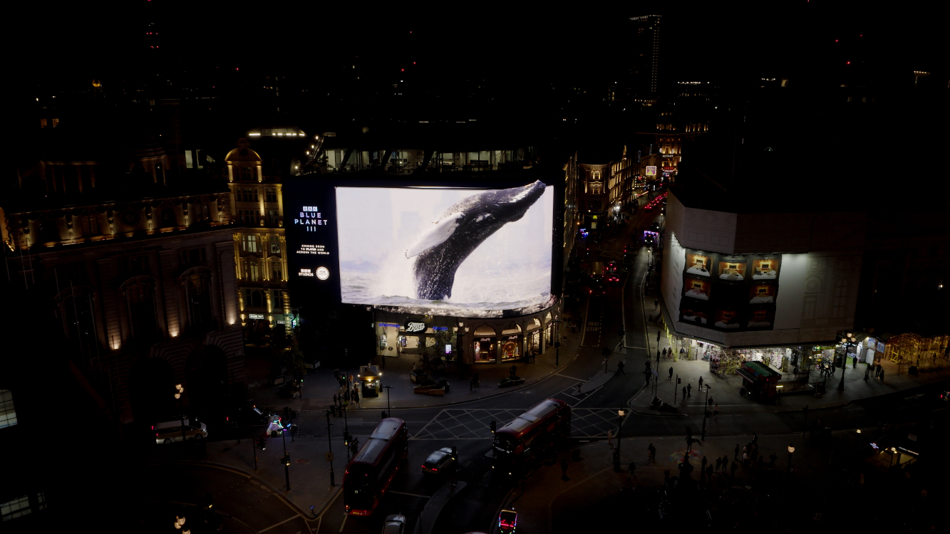 BBC Campaign: Deep-Sea Takeover Floods Piccadilly Lights - BBC Studios turned London's Piccadilly Lights into an ocean showcase for the premiere of the new Blue Planet III season. (Image: BBC Studios) BBC Studios turned London's Piccadilly Lights into an ocean showcase for the premiere of the new Blue Planet III season. (Image: BBC Studios)