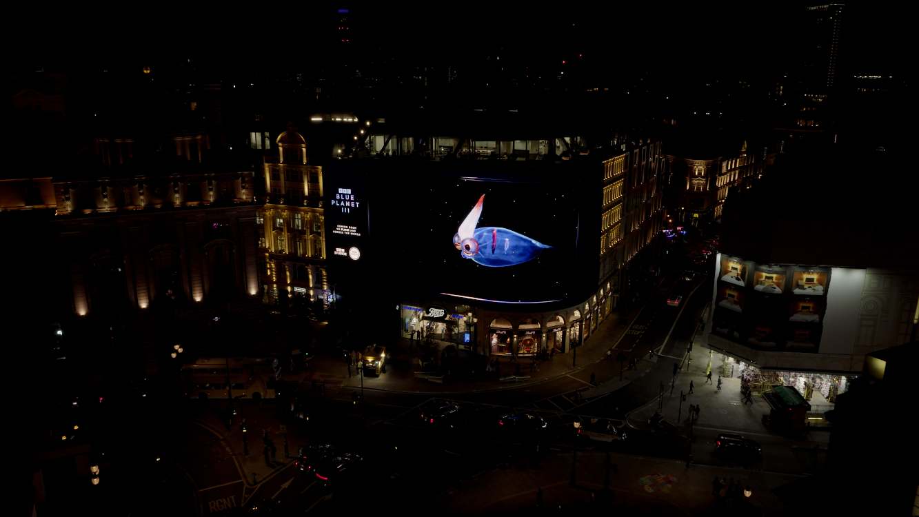 BBC Studios turned London's Piccadilly Lights into an ocean showcase for the premiere of the new Blue Planet III season. (Image: BBC Studios)