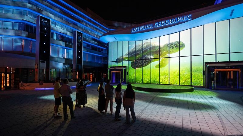 With Ocean Projections: Moment Factory Transforms National Geographic Museum - Underwater imagery fills the National Geographic Museum of Exploration's smart-glass facade during Moment Factory's Wonders of Our World: Ocean experience (Image: Moment Factory) Underwater imagery fills the National Geographic Museum of Exploration's smart-glass facade during Moment Factory's Wonders of Our World: Ocean experience (Image: Moment Factory)