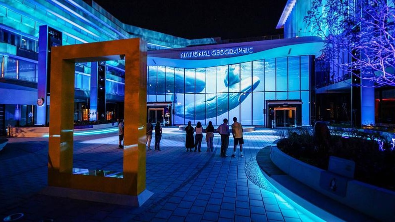 A whale appears across the museum's glass facade as large-scale visuals bring ocean environments to life in Washington, D.C. (Image: Moment Factory)