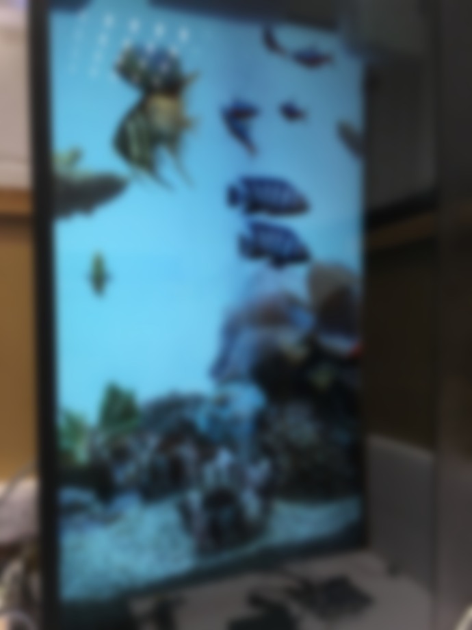 UK’s CDS Demos Transparent LCD-Regular LCD 3D Mash-Up