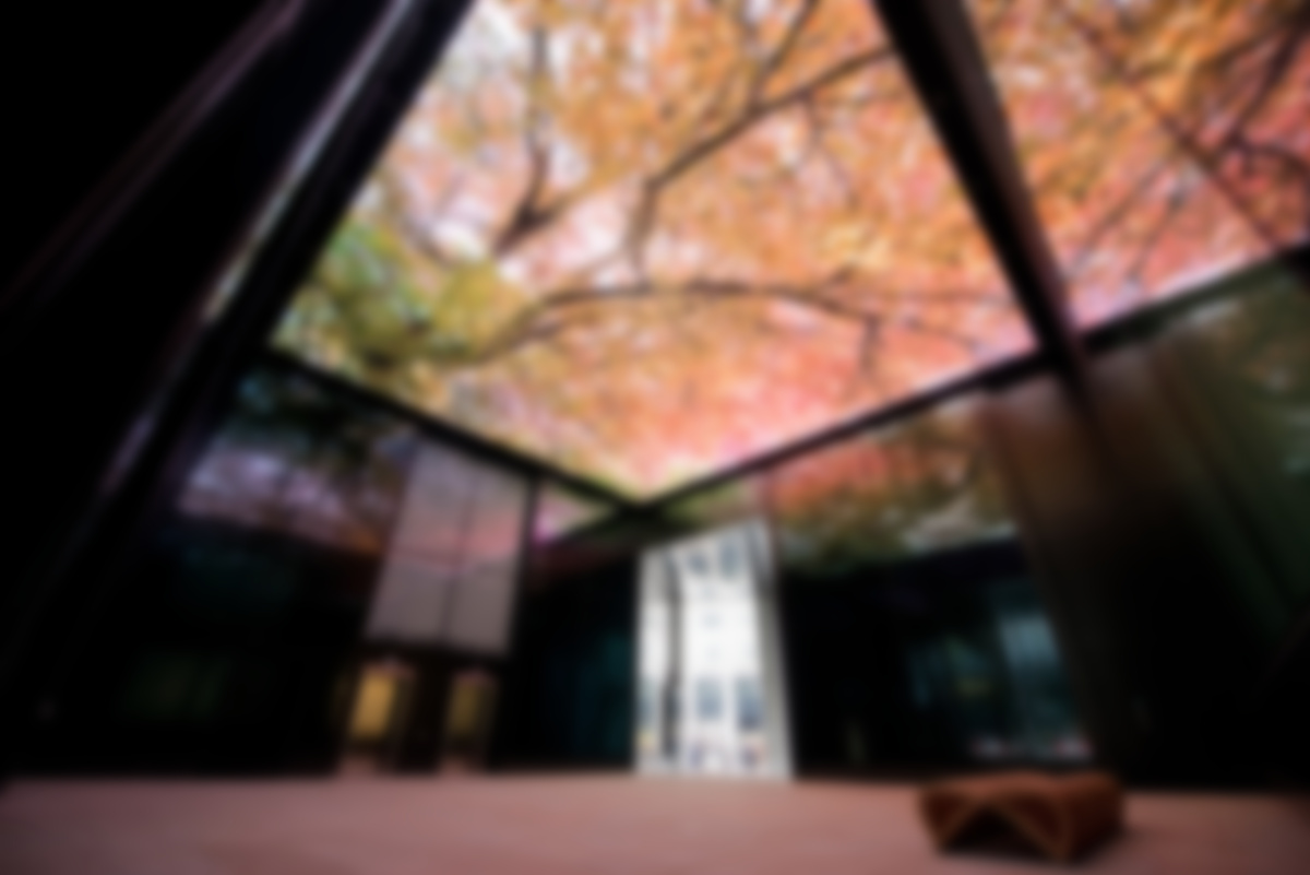 180 Sq. Metres Of LED Bring London Skies Down To Medieval Passageway