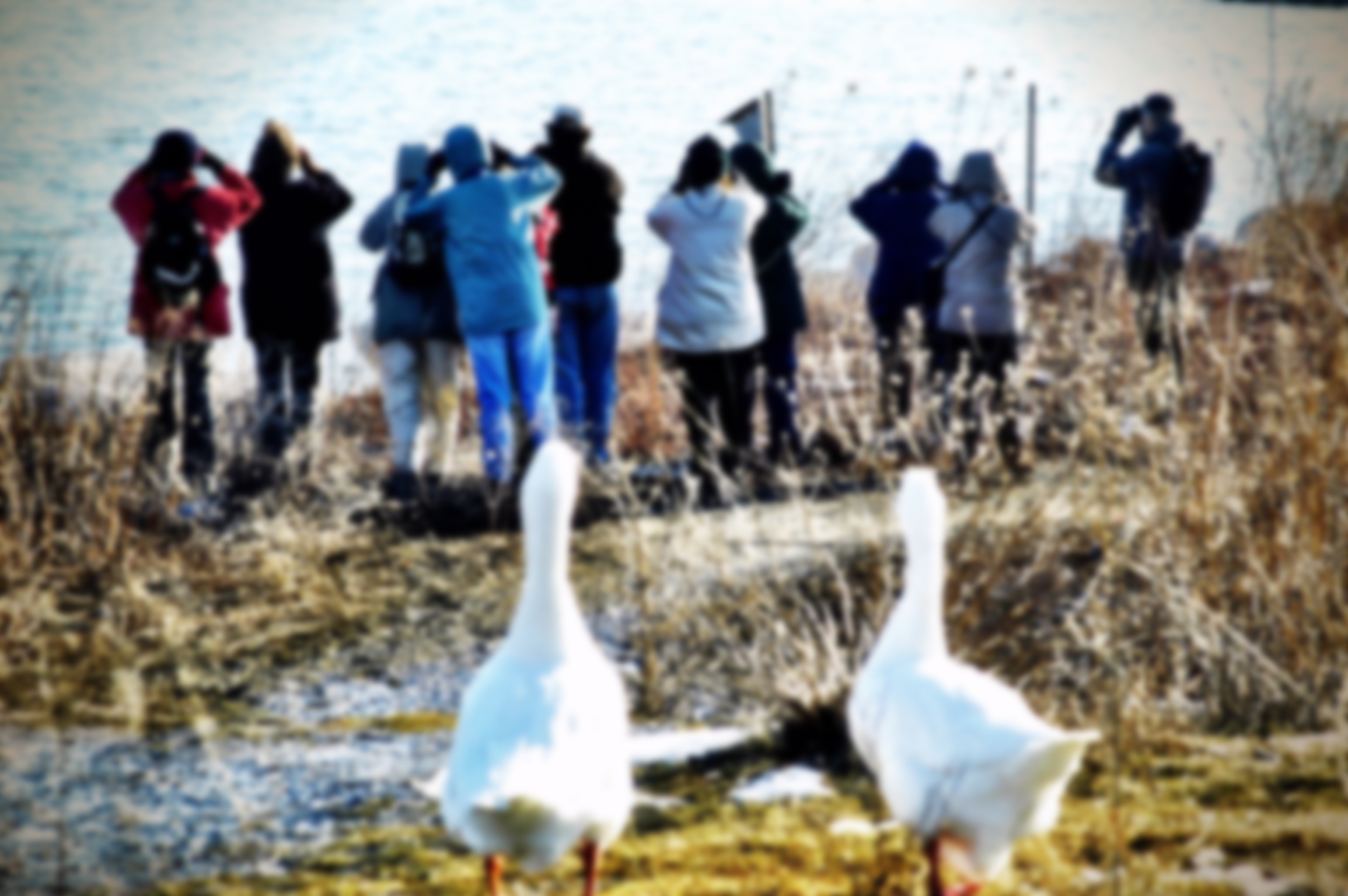 Your Best Digital Signage Opportunity Might Be The One You Already Won