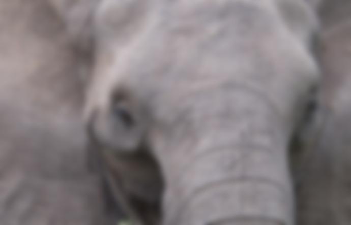 IoT And Digital Signage: The Invisible Elephant In The Room – Part 2