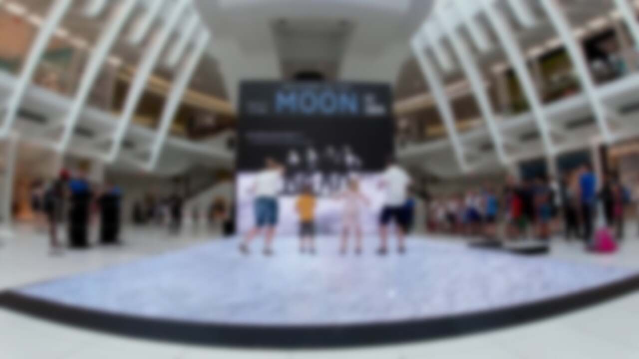 Rare Sighting: A Gesture-Driven Interactive Display With A Point!