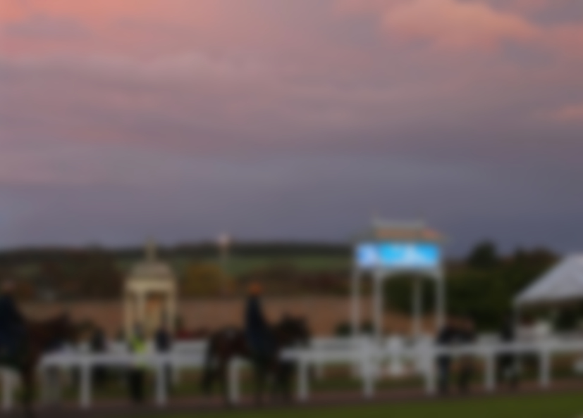 Horse Auction Firm Uses Data-Driven LED Displays For Running Sales Events