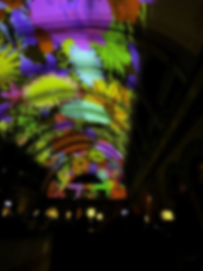 Projects: The Biggest Indoor Projection Map Project In US