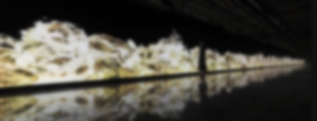Virtual Gold Waves Slosh Along 112-Metre LED Wall In Shanghai