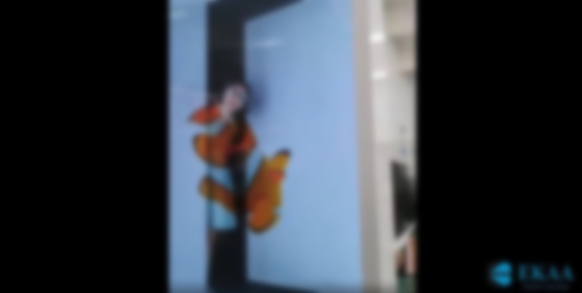 Why “Holoport” People To A Screen When There’s A Physical Back Door?