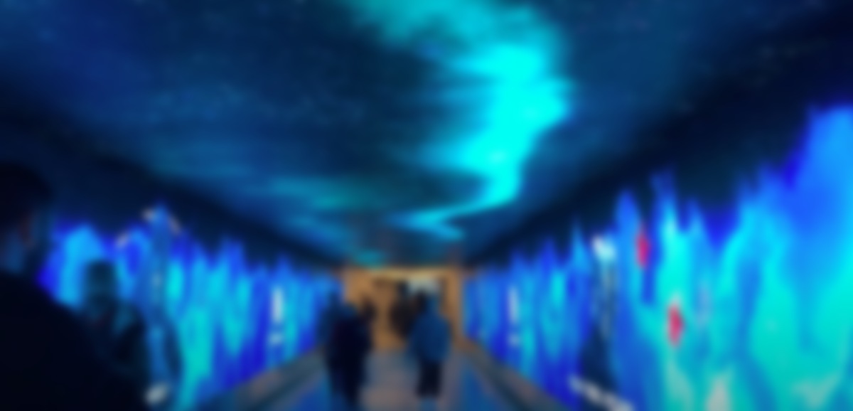 25 Meter Immersive LED Tunnel Switched On In Florence Connector Walkway