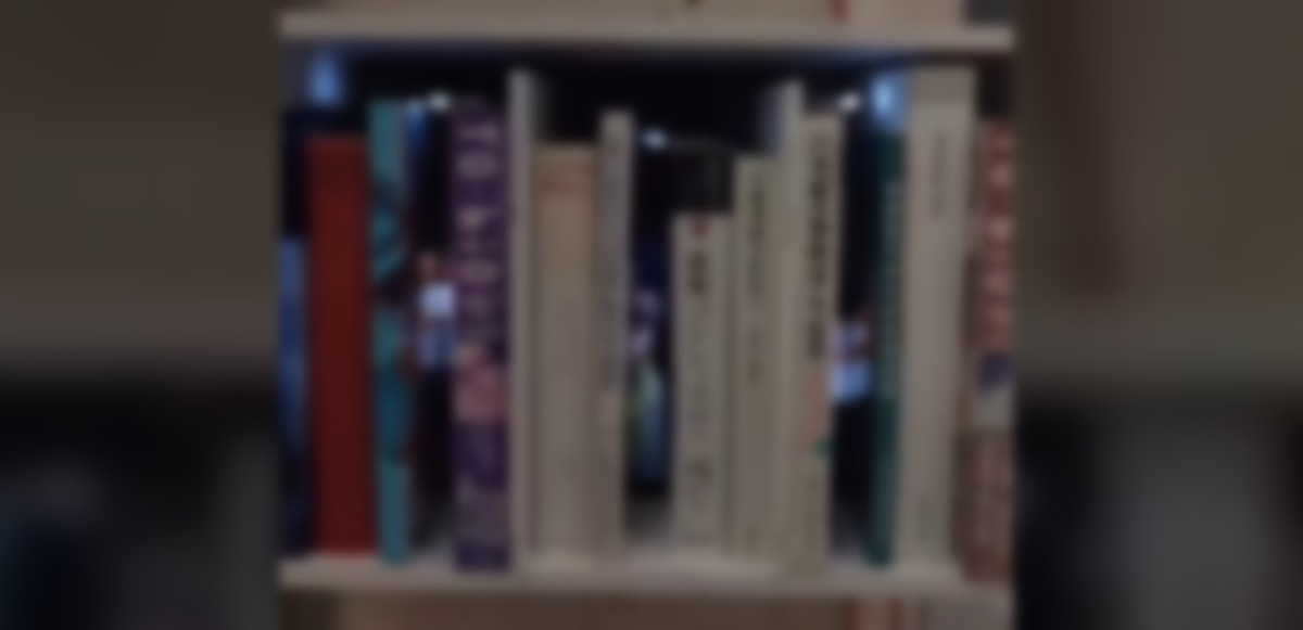 Clever Digital Art Piece Traps People Between Books On A Shelf