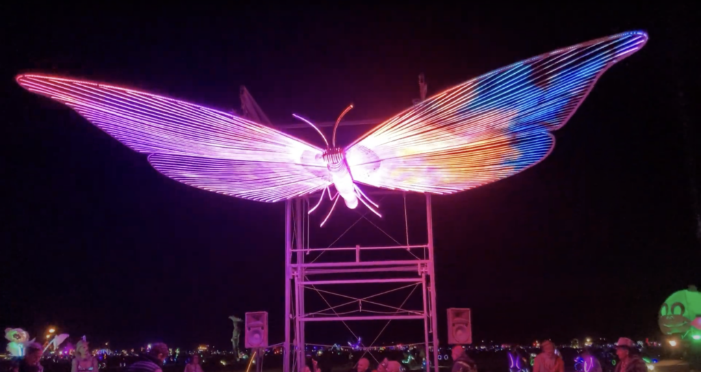 Watch: A Giant Butterfly With LED Wings