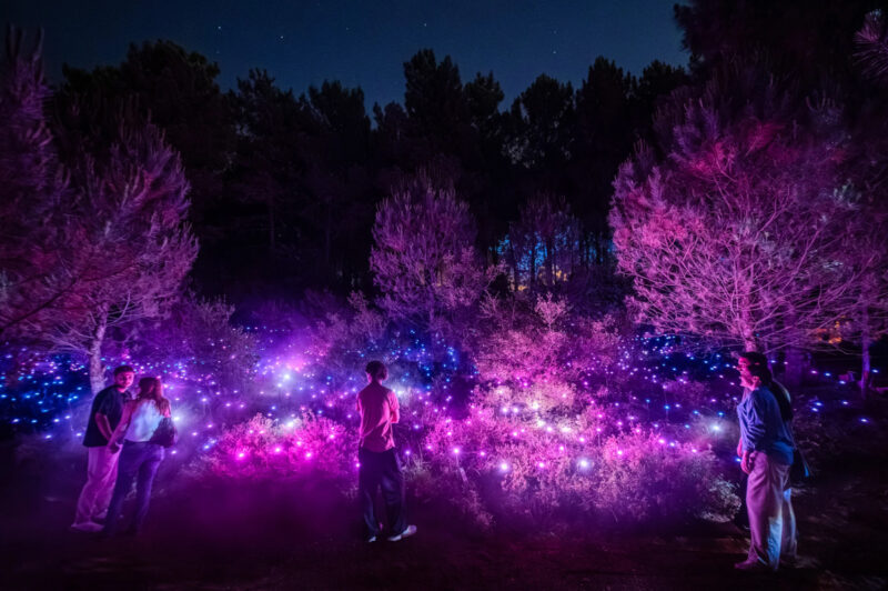 Astra Lumina in Istanbul (Image: Moment Factory)