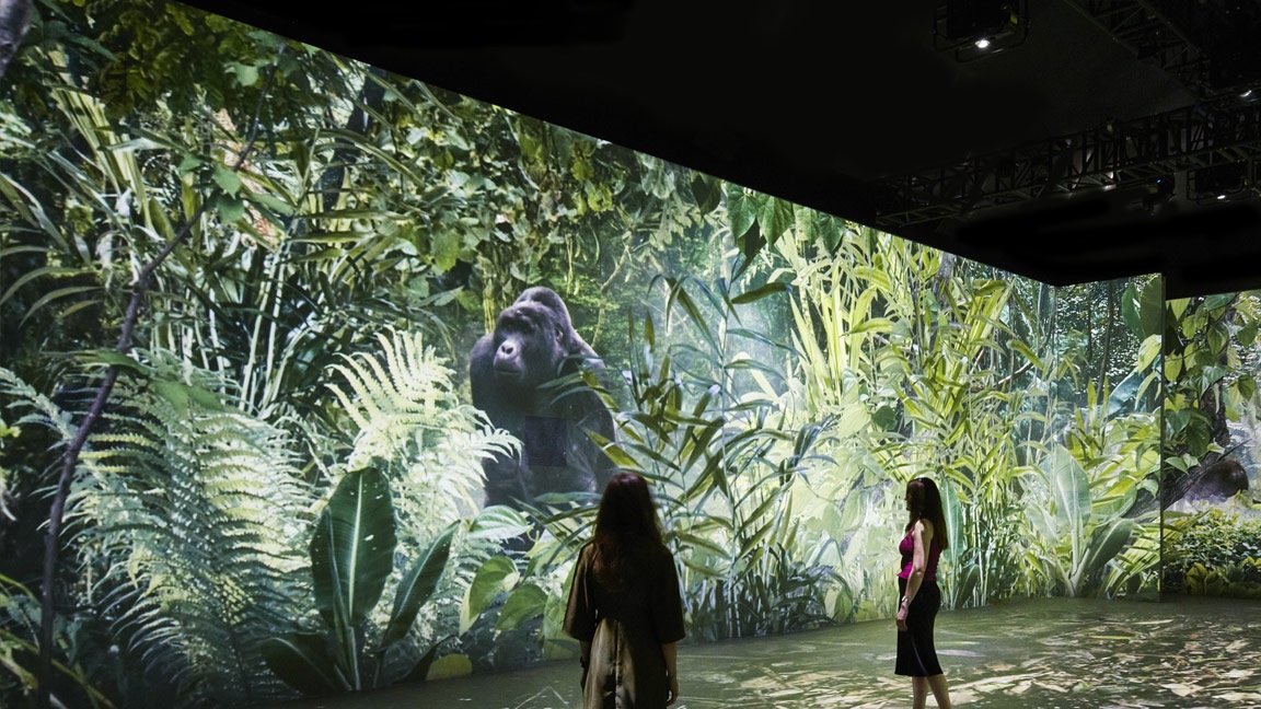 HIVE Media Servers Power Natural History Museum