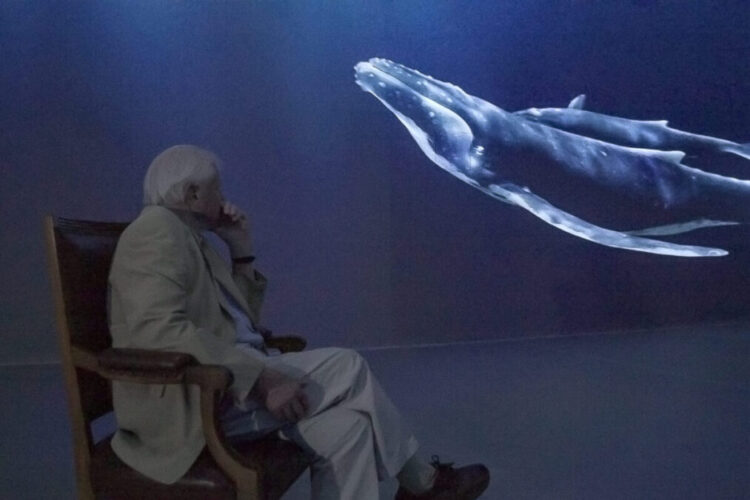 Whales patrol the seas at London's Natural History Museum