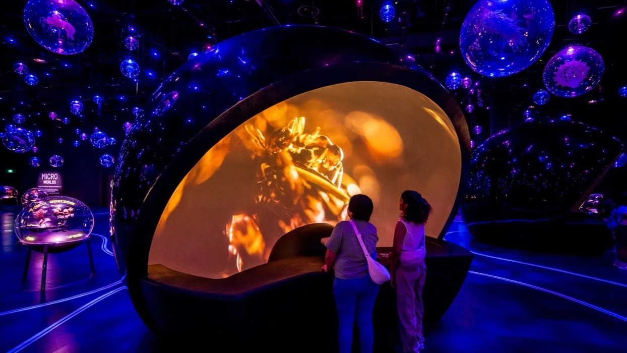 Mandai Wildlife Deploys Projection and RFID Infrastructure for 10,000-Square-Metre Immersive Venue